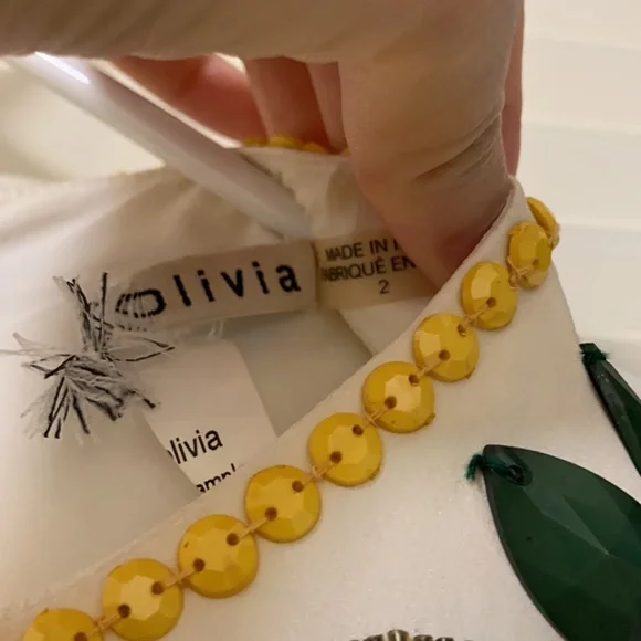 Alice + Olivia embellished dress - perfect for cocktail and date night! - Picture 7 of 7